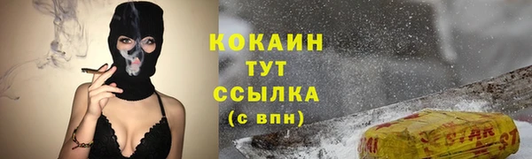 шишки Алзамай