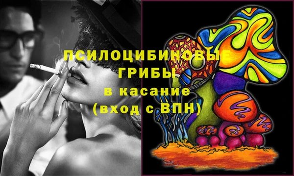 шишки Алзамай