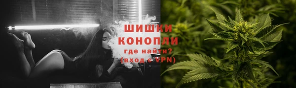 шишки Алзамай