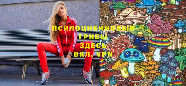 шишки Алзамай