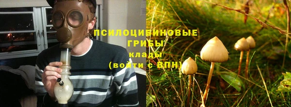 шишки Алзамай